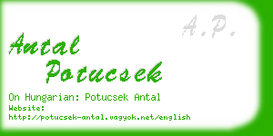 antal potucsek business card